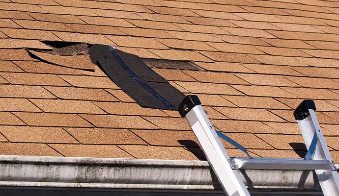 Shingles roof water damage